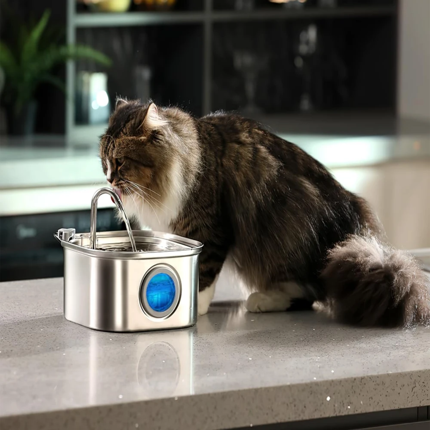 Snuzzla Cat Water Fountain
